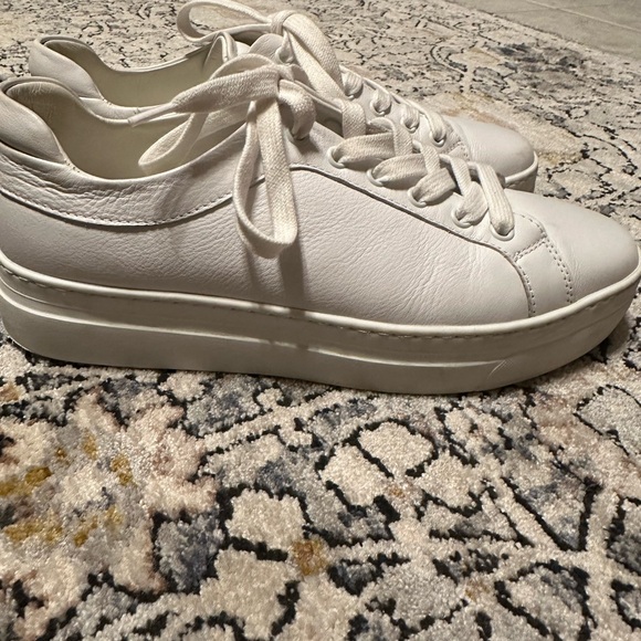 M. Gemi Shoes - M. Gemi The Palestra Due
